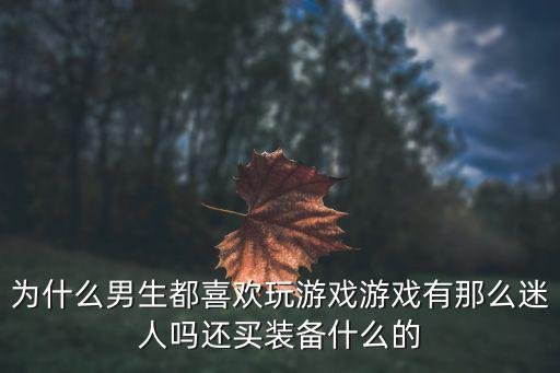 为什么男生都喜欢玩游戏游戏有那么迷人吗还买装备什么的