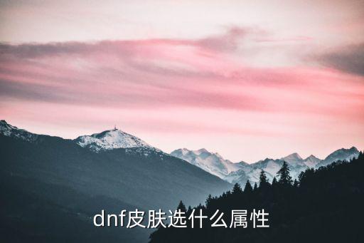 dnf皮肤选什么属性