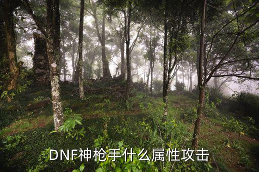 DNF神枪手什么属性攻击