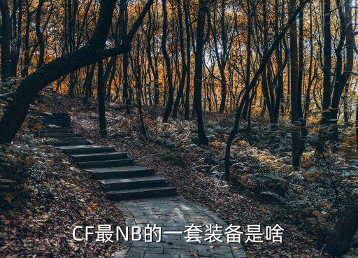 CF最NB的一套装备是啥