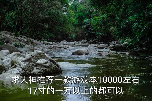 求大神推荐一款游戏本10000左右17寸的一万以上的都可以