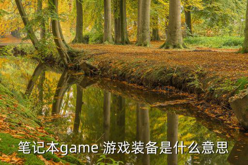 笔记本game 游戏装备是什么意思