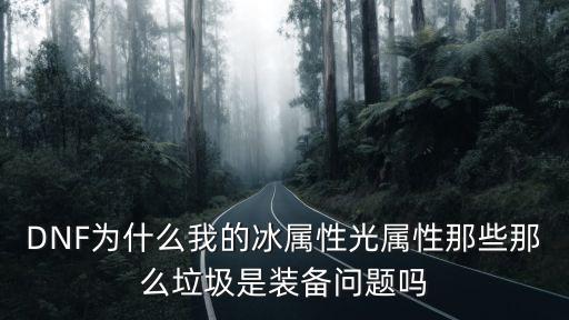 DNF为什么我的冰属性光属性那些那么垃圾是装备问题吗