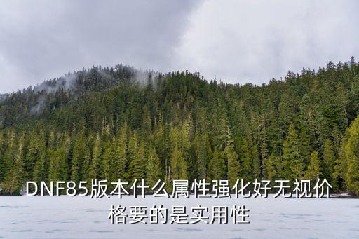 DNF85版本什么属性强化好无视价格要的是实用性