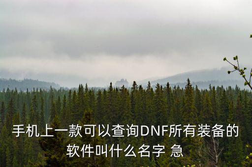 手机上一款可以查询DNF所有装备的软件叫什么名字 急