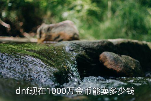 dnf现在1000万金币能卖多少钱