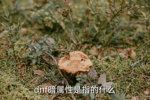 dnf暗属性是指的什么