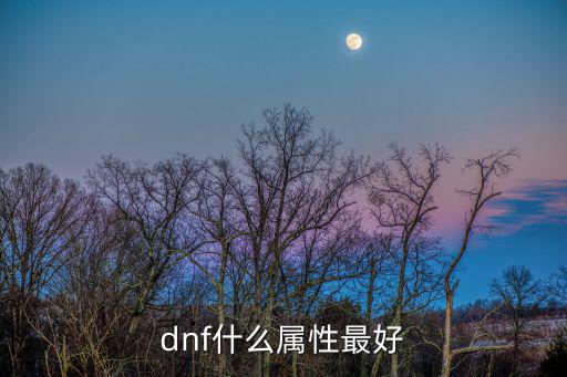 dnf什么属性最好