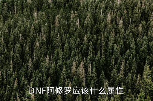 DNF阿修罗应该什么属性