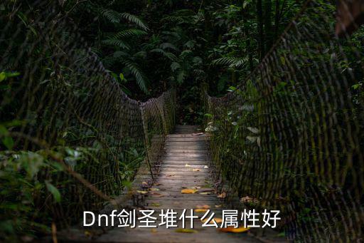 Dnf剑圣堆什么属性好