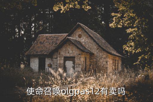 使命召唤olgpas12有卖吗