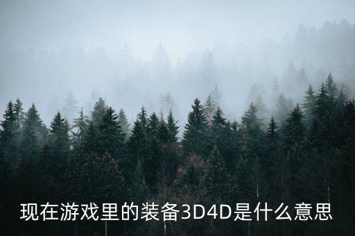 现在游戏里的装备3D4D是什么意思