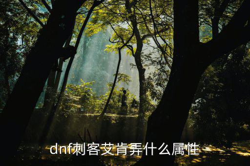 dnf刺客艾肯弄什么属性