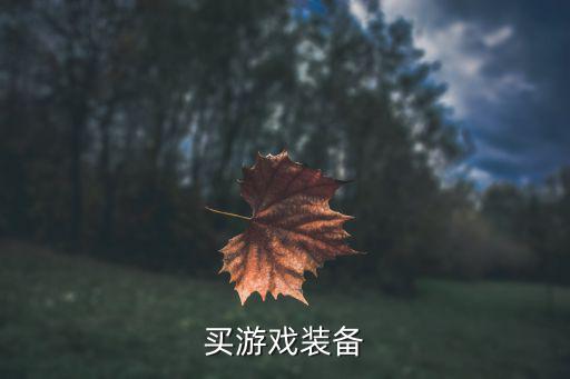 买游戏装备