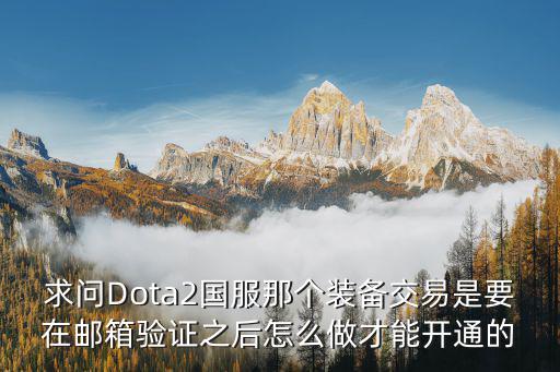 求问Dota2国服那个装备交易是要在邮箱验证之后怎么做才能开通的