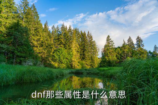 dnf那些属性是什么意思