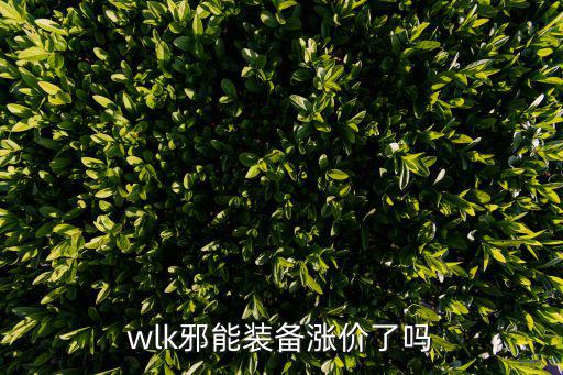 wlk邪能装备涨价了吗