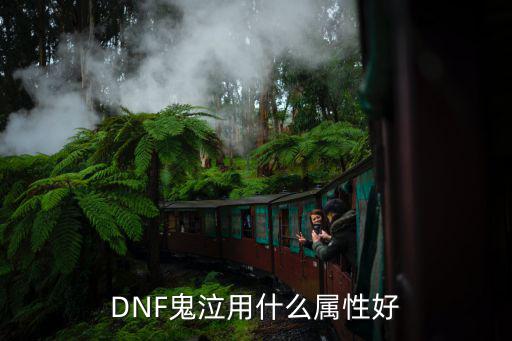 DNF鬼泣用什么属性好