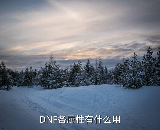 DNF各属性有什么用