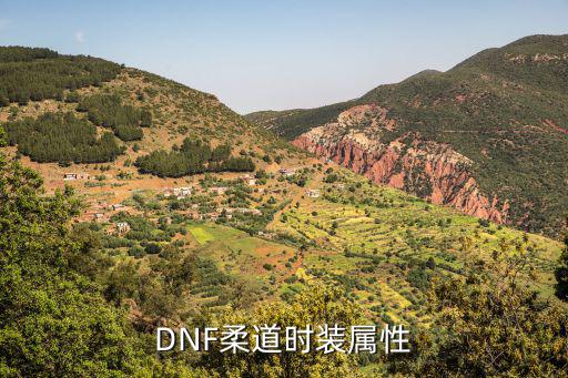 dnf柔道什么属性好，DNF柔道穿什么属性的时装