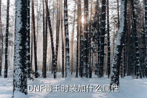 DNF毒王时装加什么属性