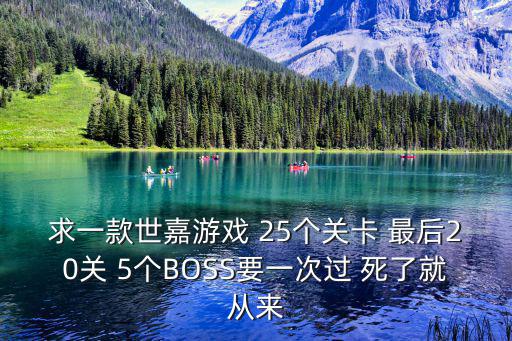 求一款世嘉游戏 25个关卡 最后20关 5个BOSS要一次过 死了就从来