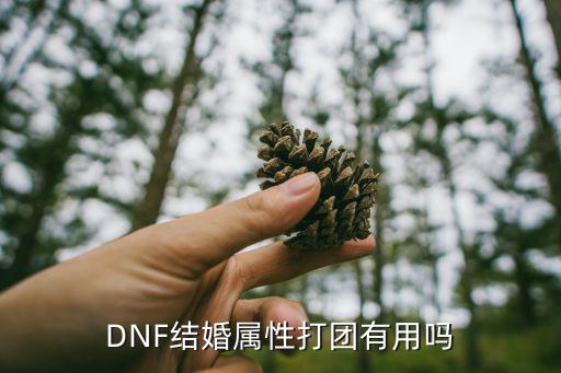 DNF结婚属性打团有用吗