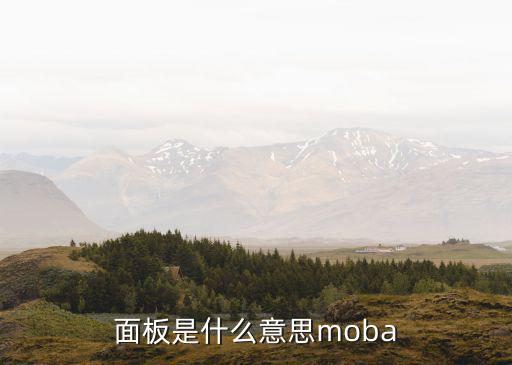 面板是什么意思moba