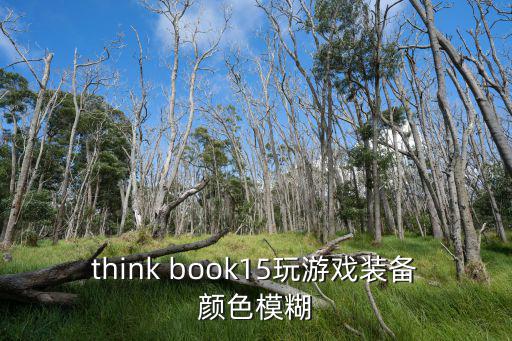 think book15玩游戏装备颜色模糊