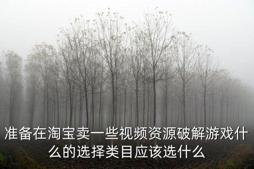 准备在淘宝卖一些视频资源破解游戏什么的选择类目应该选什么