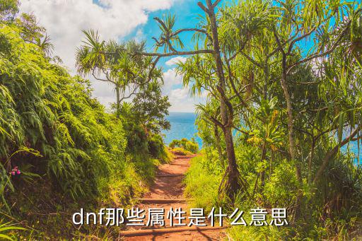 dnf那些属性是什么意思