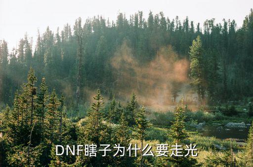 DNF瞎子为什么要走光