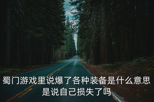 蜀门游戏里说爆了各种装备是什么意思是说自己损失了吗