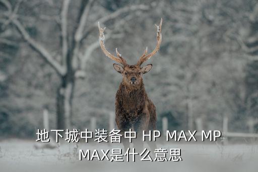 地下城中装备中 HP MAX MP MAX是什么意思