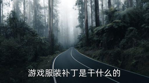 游戏服装补丁是干什么的