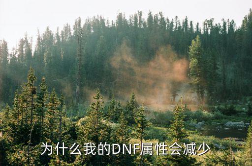 为什么dnf属性少了，为什么我的DNF属性会减少