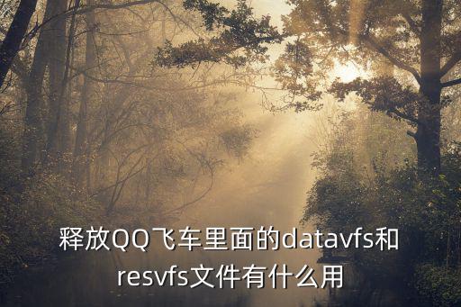 释放QQ飞车里面的datavfs和resvfs文件有什么用