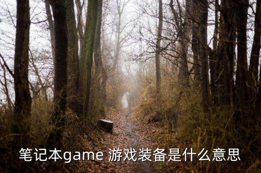 笔记本game 游戏装备是什么意思