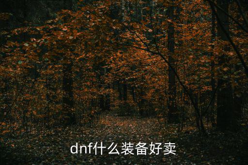 dnf什么装备好卖