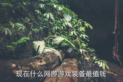 现在什么网游游戏装备最值钱