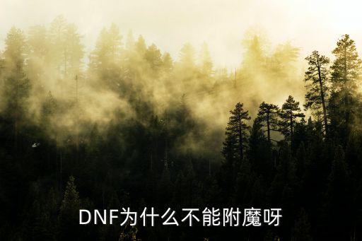 DNF为什么不能附魔呀