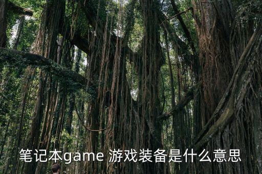 笔记本game 游戏装备是什么意思