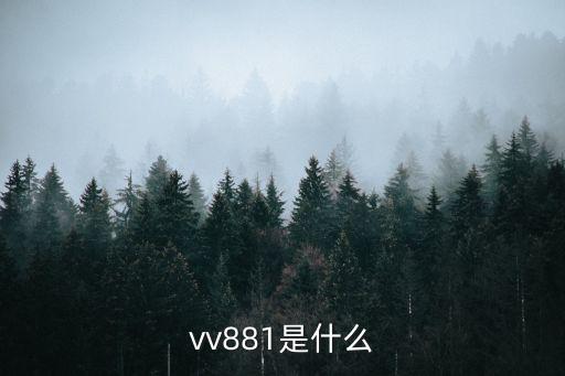 vv881是什么