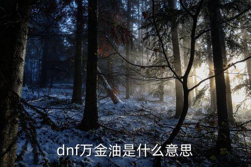 dnf万金油是什么意思