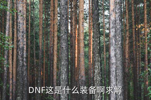 DNF这是什么装备啊求解