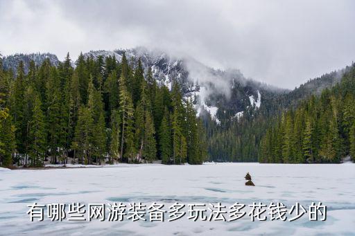 有哪些网游装备多玩法多花钱少的