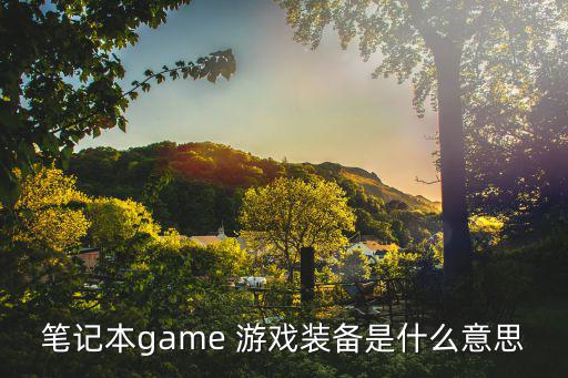 笔记本game 游戏装备是什么意思