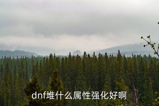 dnf堆什么属性强化好啊