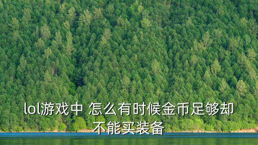 lol游戏中 怎么有时候金币足够却不能买装备