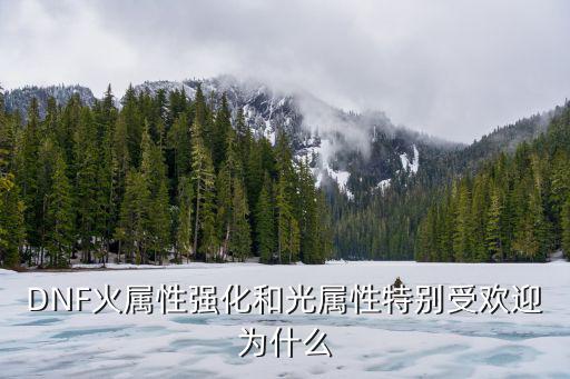 DNF火属性强化和光属性特别受欢迎为什么